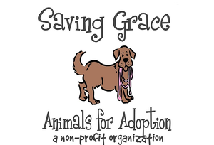 Event Home: Save Saving Grace